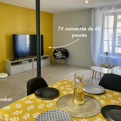 ‎Salon airbnb appart hotel tarare jardin.‎1